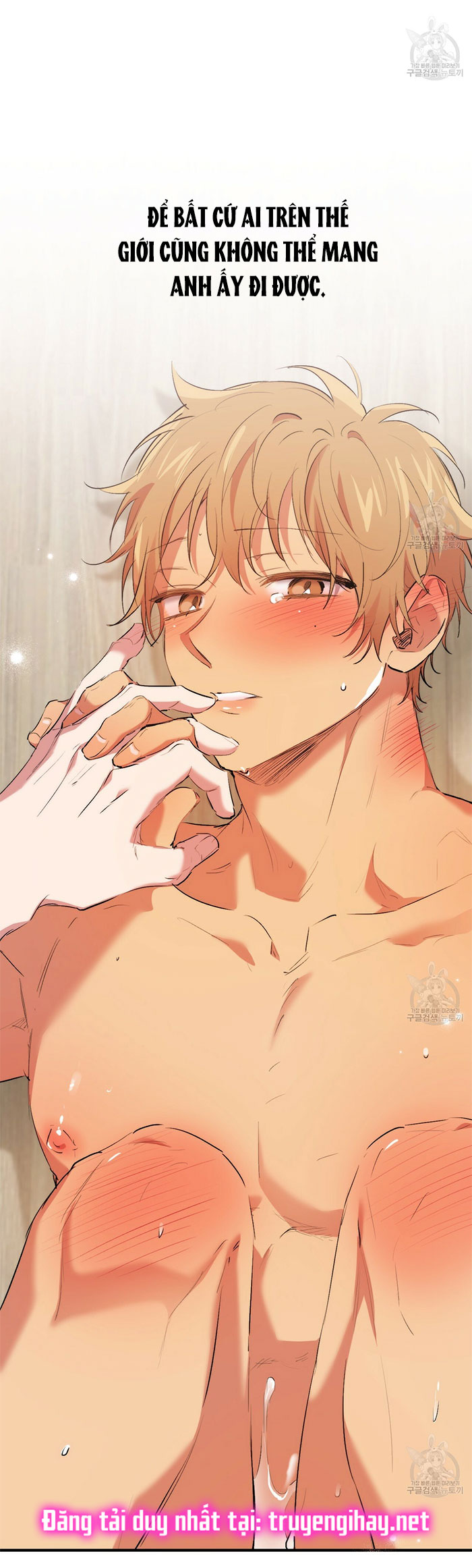 những chú thỏ của hapypy chapter 43 72