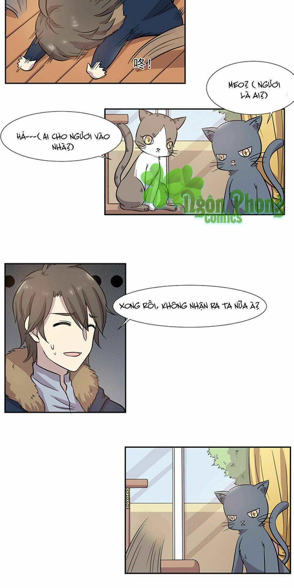 hai chú mèo totem chapter 28 5