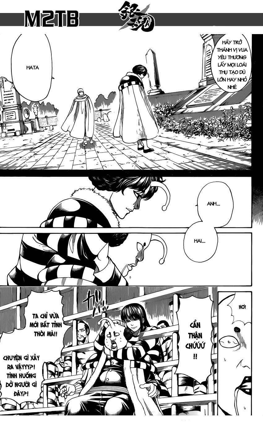 gintama - linh hồn bạc chapter 613 7