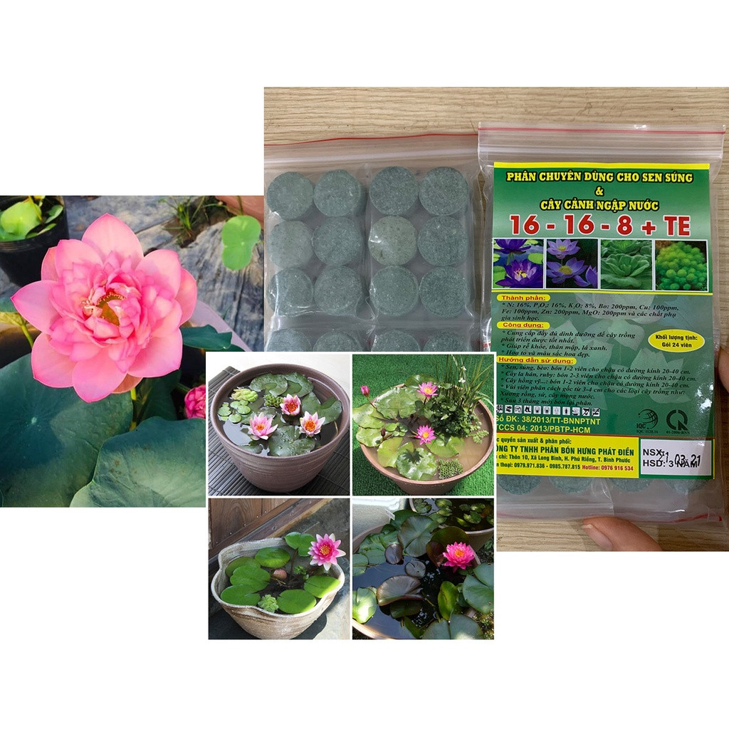 PHÂN BÓN CHUYÊN DÙNG CHO CÂY NGẬP NƯỚC