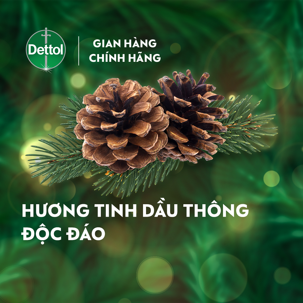 Nước rửa tay diệt khuẩn Dettol - Chai 250g