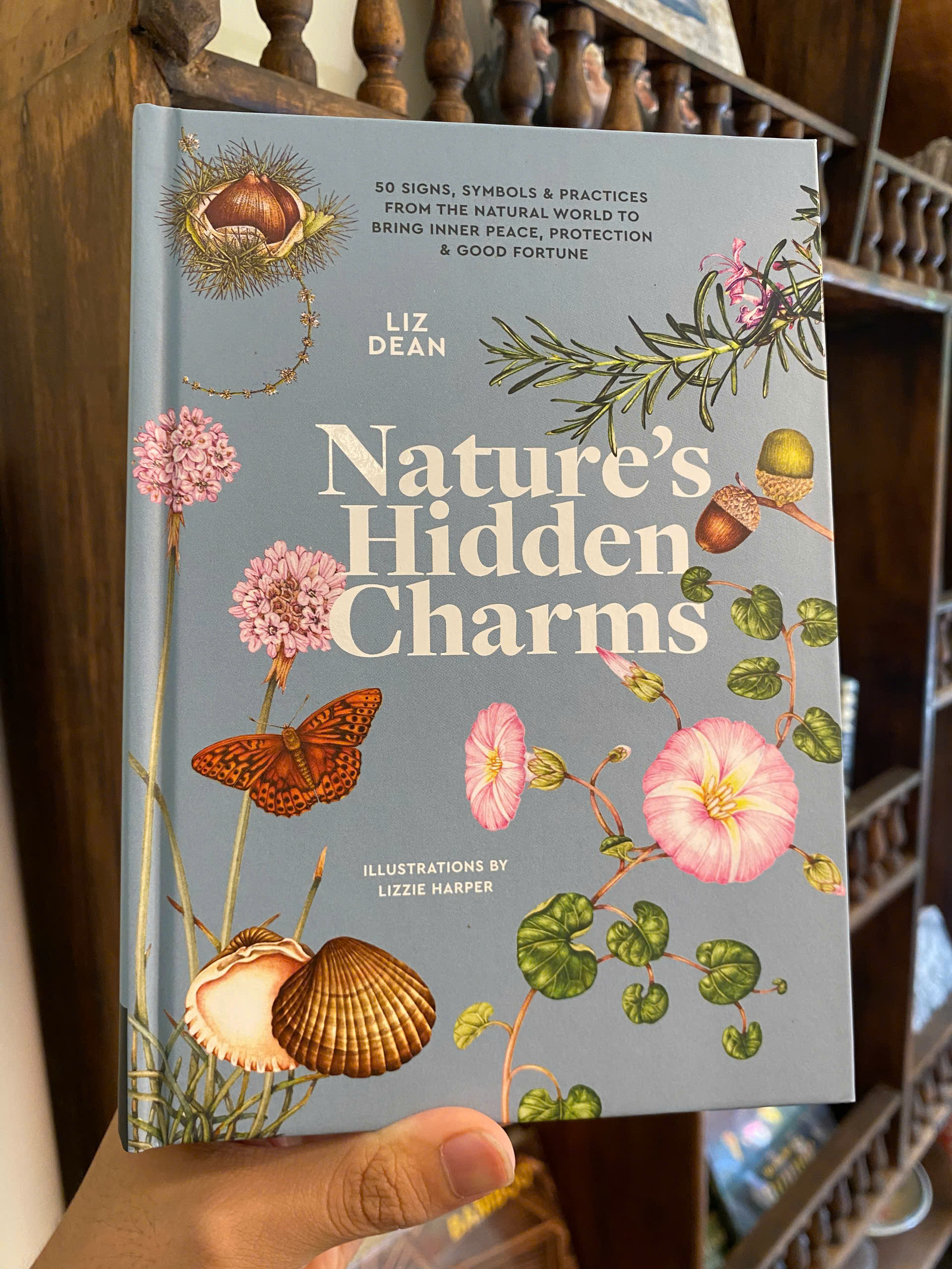 Sách - Nature's Hidden Charms by Liz Dean | Practices from Natural World for Healing Inner Peace