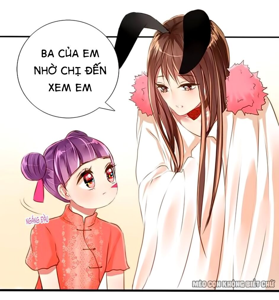 không có ssr làm sao để yêu chapter 16 11