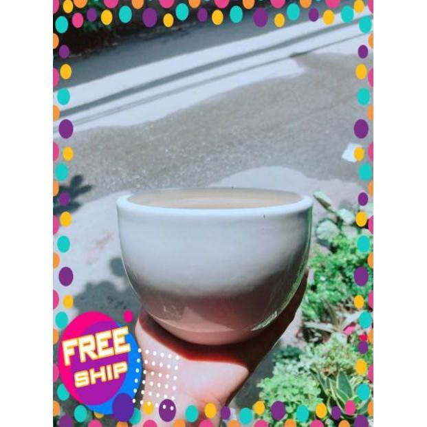 Chậu Trồng Cây