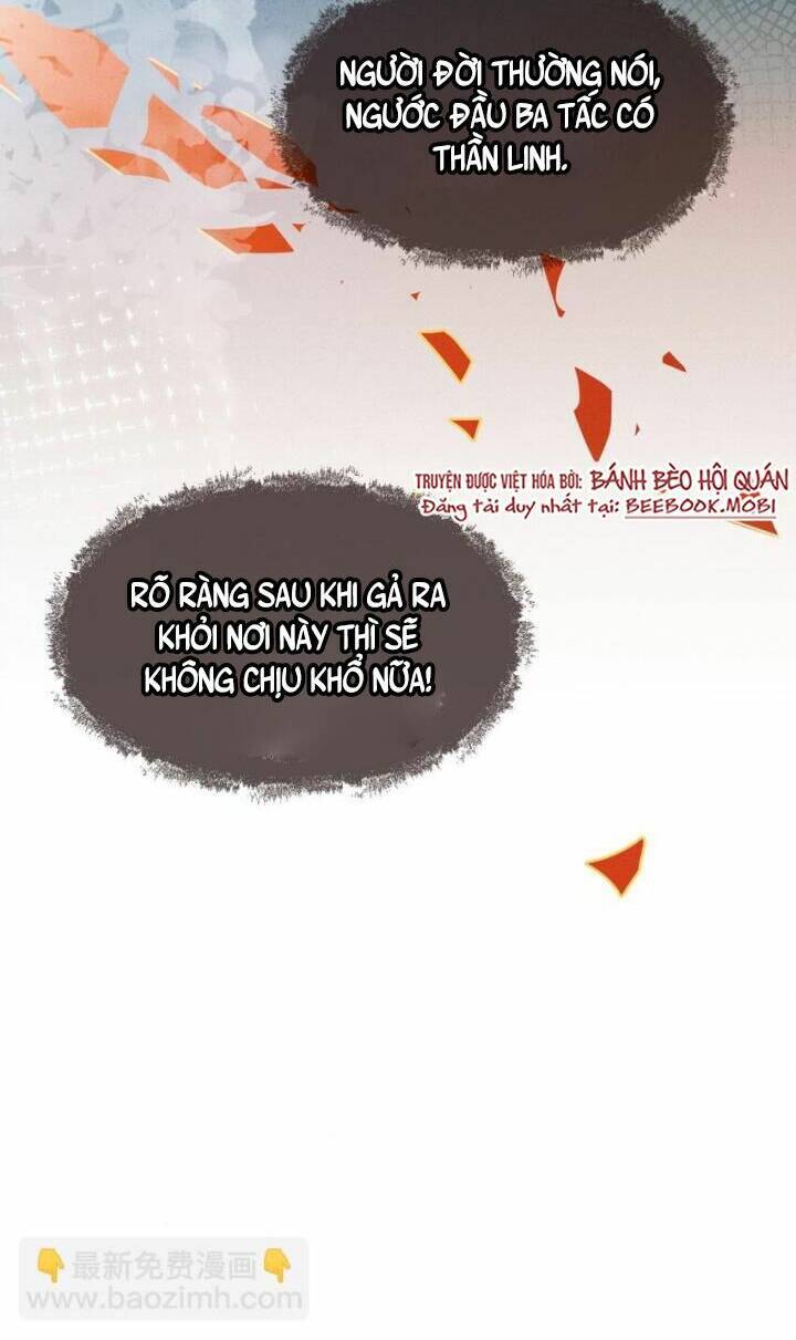 kế hoạch nuôi dưỡng bệnh kiều vương gia chapter 1 22