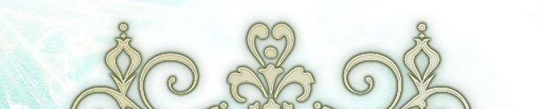 tôi sẽ cố gắng bảo vệ em gái chapter 26 212