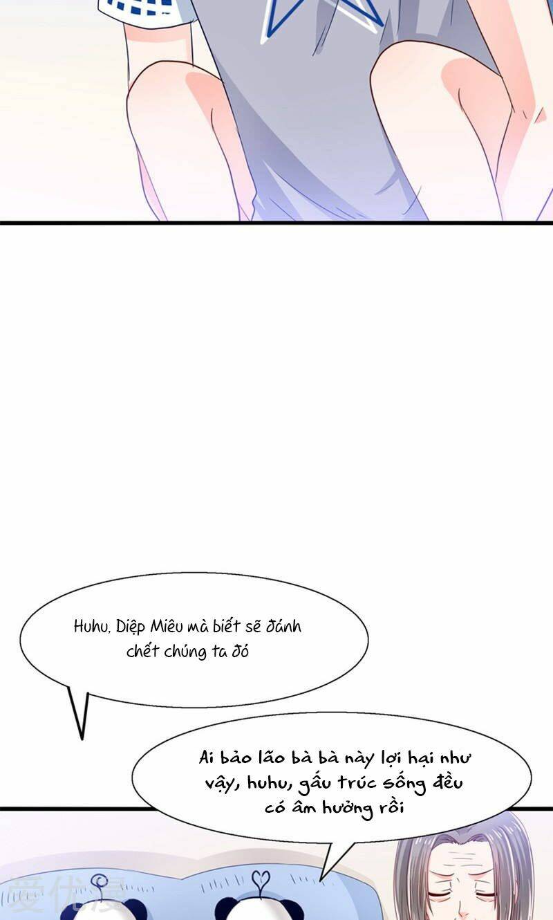 tôi bị gấu trúc nhìn trúng rồi chapter 15 15