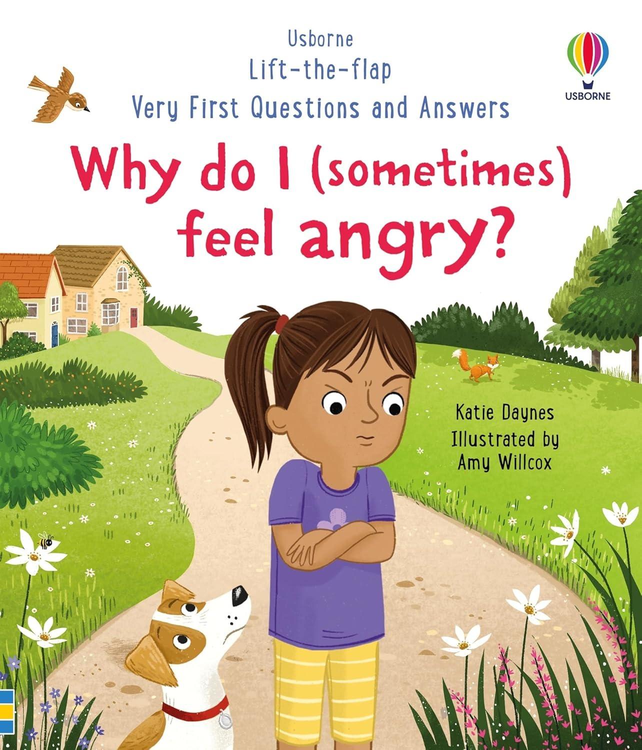 Sách ngoại văn: Why Do I (Sometimes) Feel Angry?