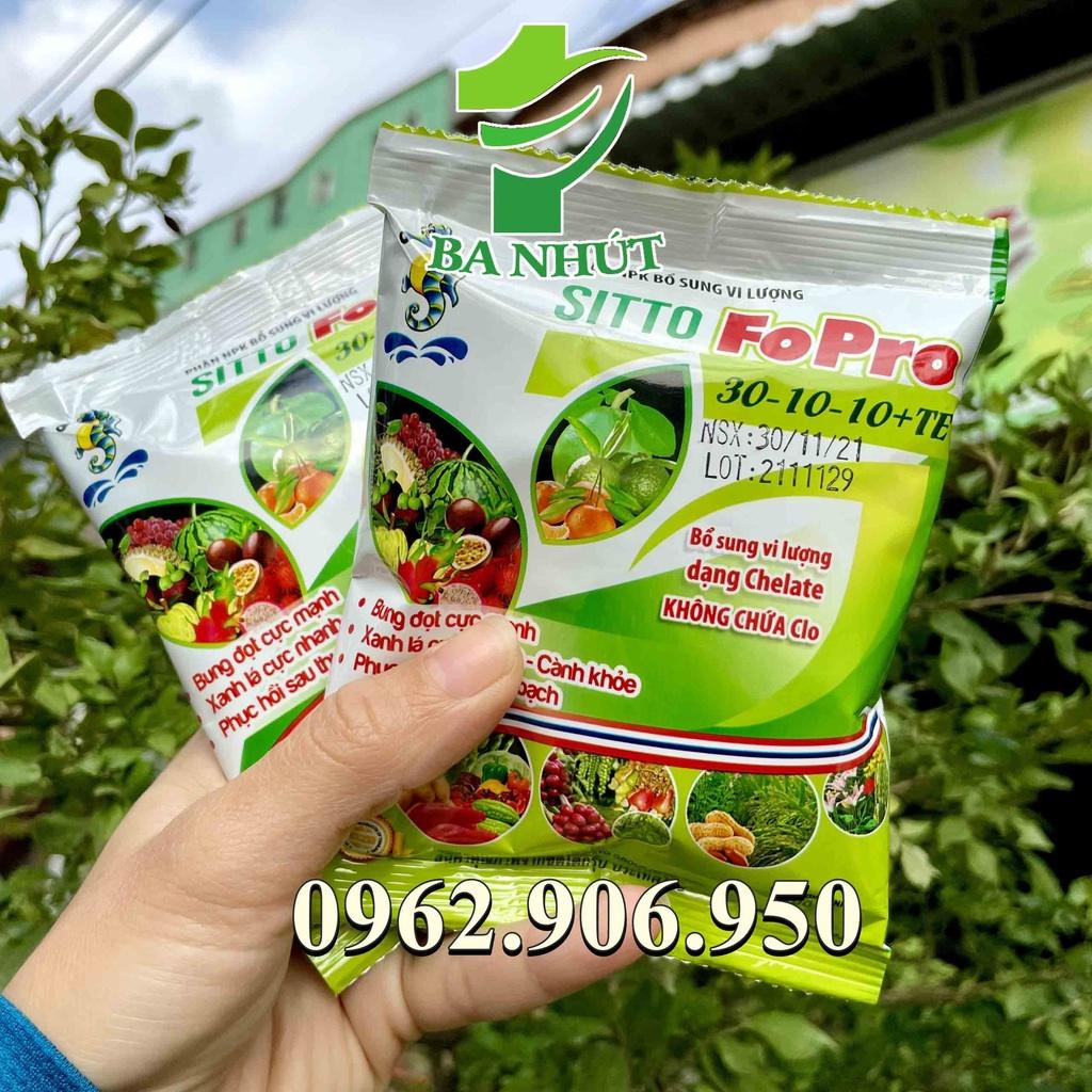 NPK Hòa Tan SITTO FoPro 30-10-10+TE - Bung Đọt Cực Mạnh, Xanh Lá Cực Nhanh, Thân Cành Khỏe
