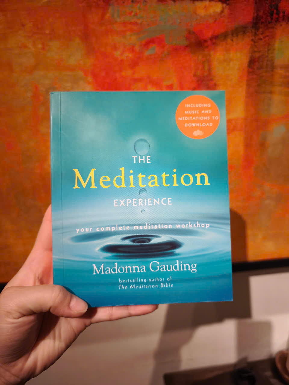 Sách - The Meditation Experience: Your Complete Meditation Workshop by Madonna Gauding