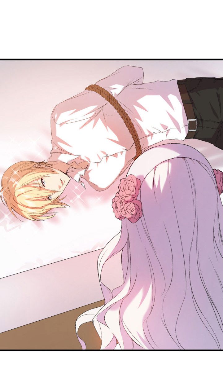 tôi định quyến rũ anh trai nhưng nam chính đã đến chapter 2 57