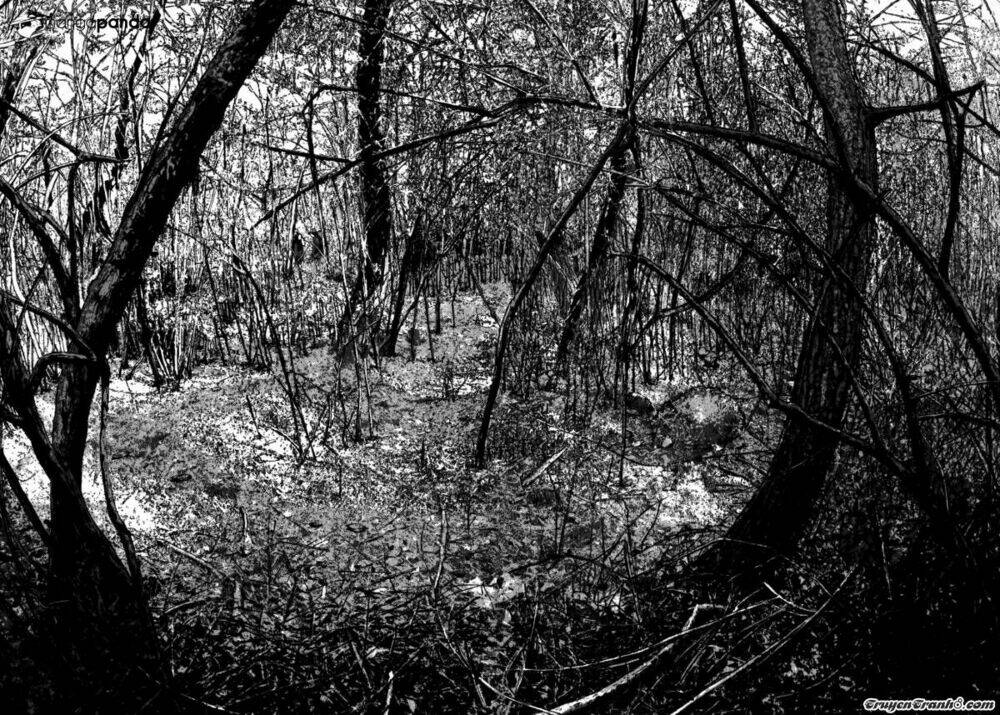 tôi là người hùng chapter 36 2