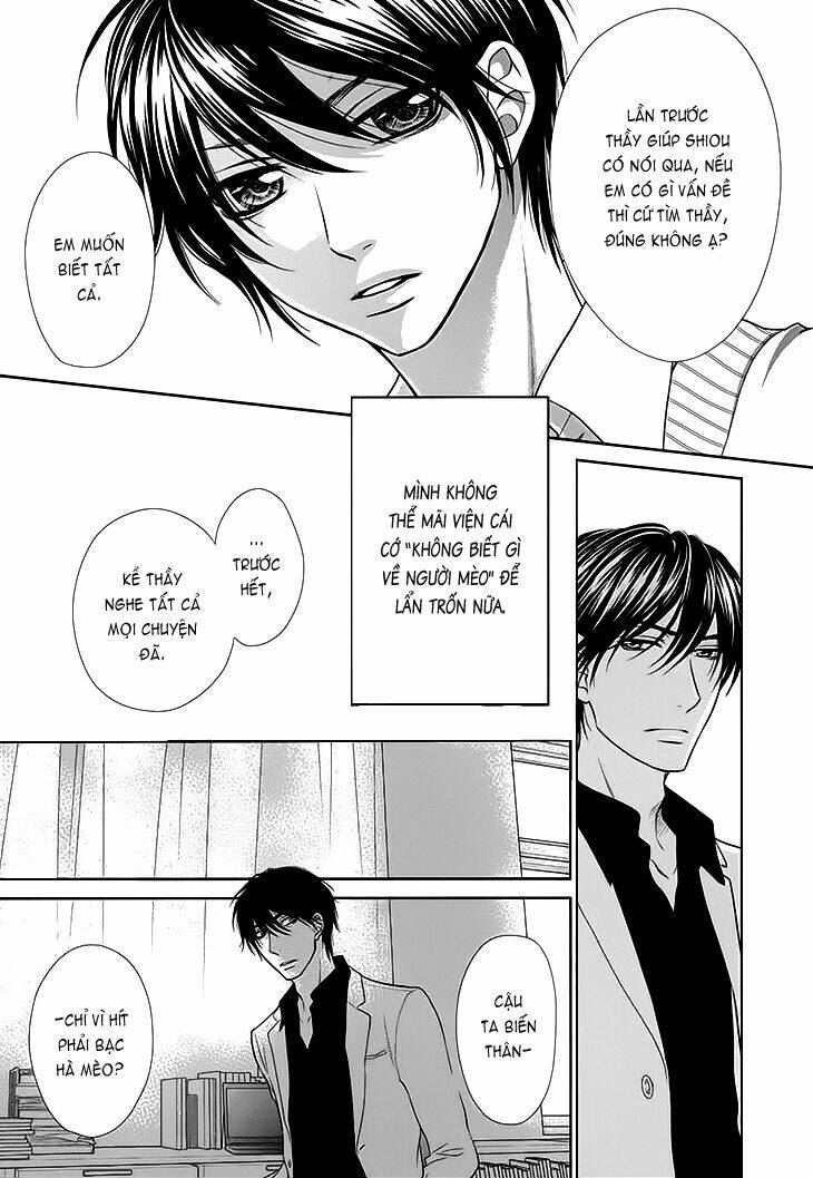 nekoka danshi no shitsukekata chapter 12 11