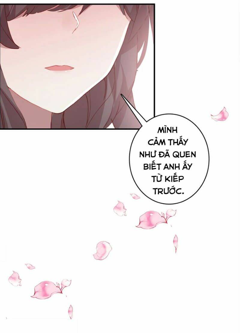 nhất sinh nhất thế mỹ nhân cốt chapter 6 14