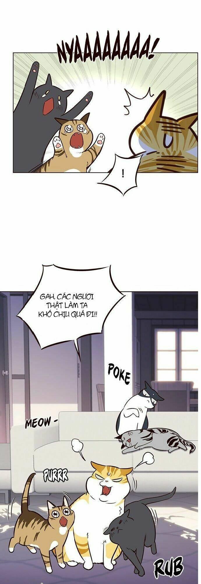 biến thân thành mèo chapter 7 46