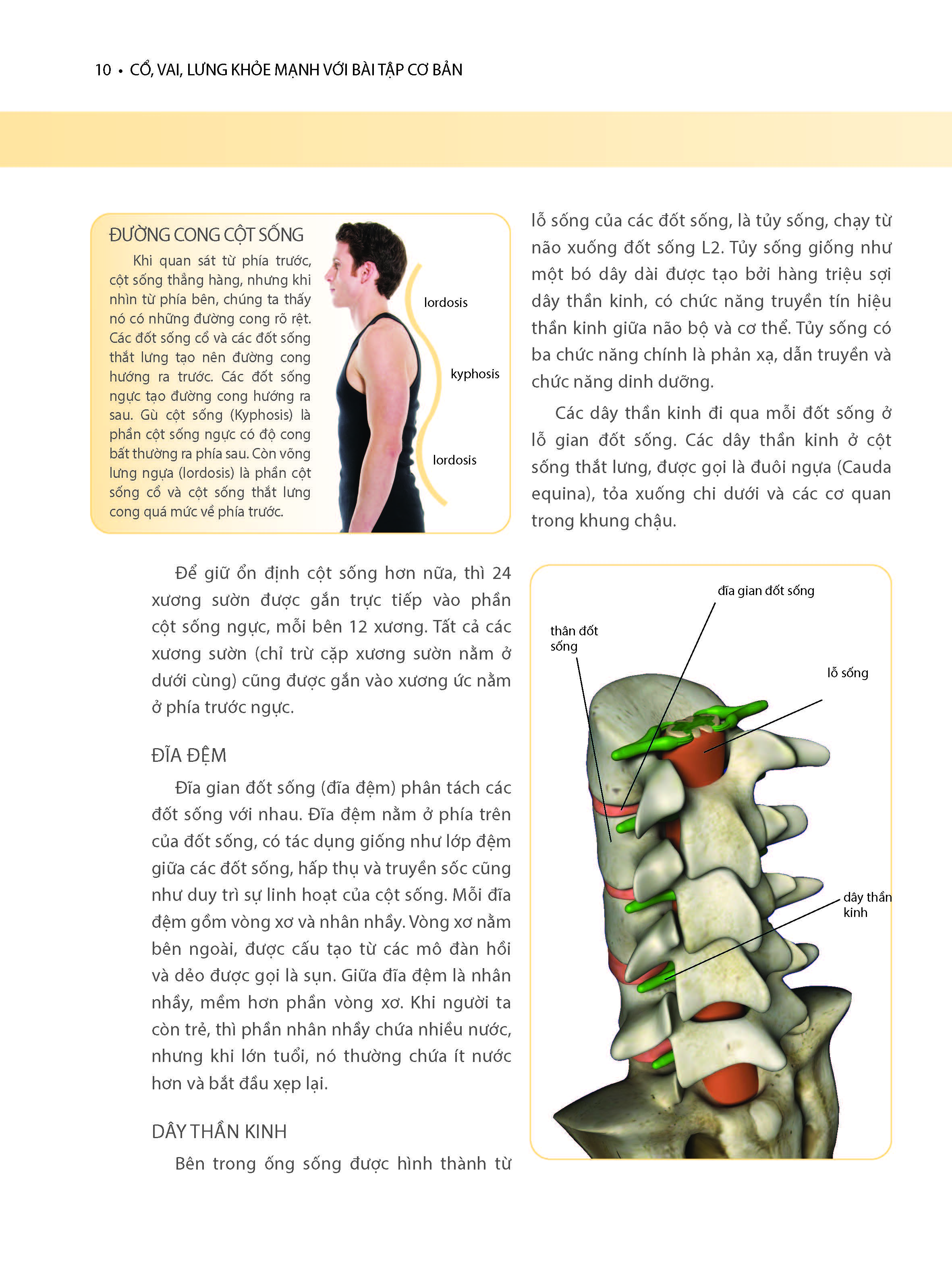 Cổ, Vai, Lưng Khỏe Mạnh Với Bài Tập Cơ Bản (In màu)