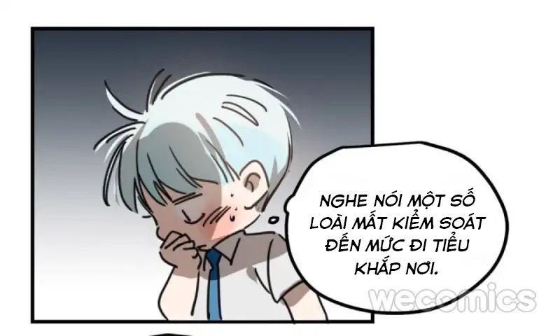 Ngao Ngao Muốn Bị Ăn Thịt chapter 11