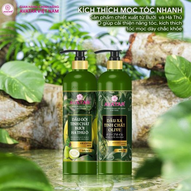 Dầu Gội-Xả Chiết Xuất Tinh Chất Olive Avatar Shampoo (800 mL)