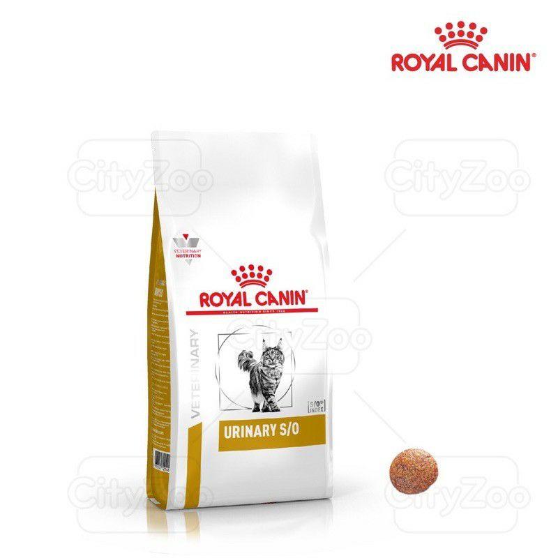 royal canin urinary s/o hạt cho mèo bị sỏi thận túi 1,5kg