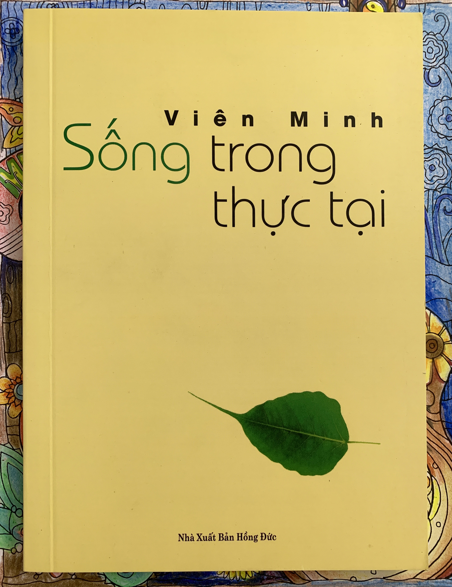 Sống Trong Thực Tại - thầy Viên Minh