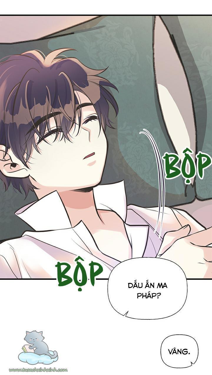 chị tôi nhặt về nam chính của tiểu thuyết chapter 44 42