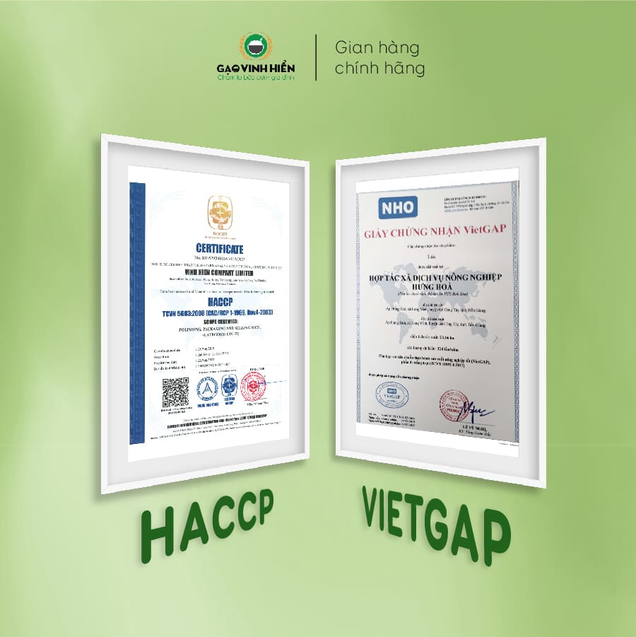 Gạo Nếp Sáp Vinh Hiển túi 1KG Nếp sạch 3 KHÔNG