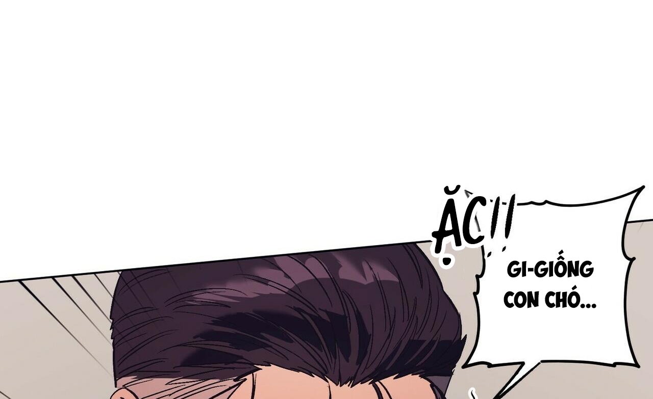 chàng dâu nhà họ kang chapter 16 49