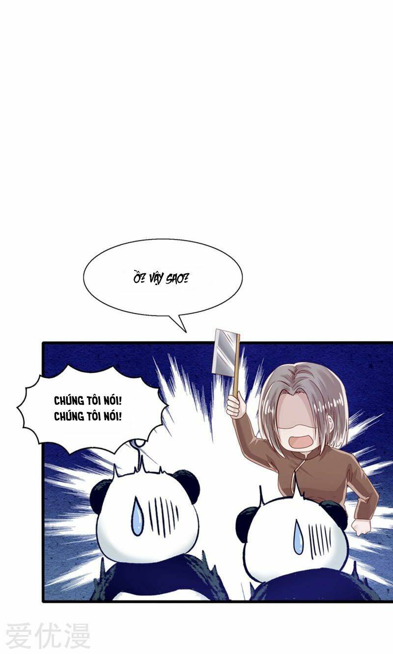 tôi bị gấu trúc nhìn trúng rồi chapter 15 6