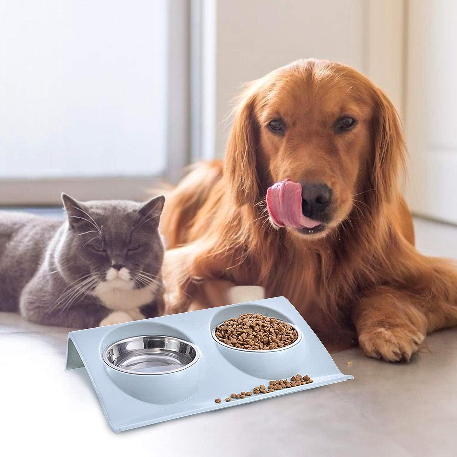 Bát Cho Mèo, Bát Cho Thú Cưng, Bát Cho Chó Mèo, Bát Đôi Cho Chó Mèo, Bát Ăn Cho Thú Cưng, Bát Inox Chống Trượt Cho Mèo