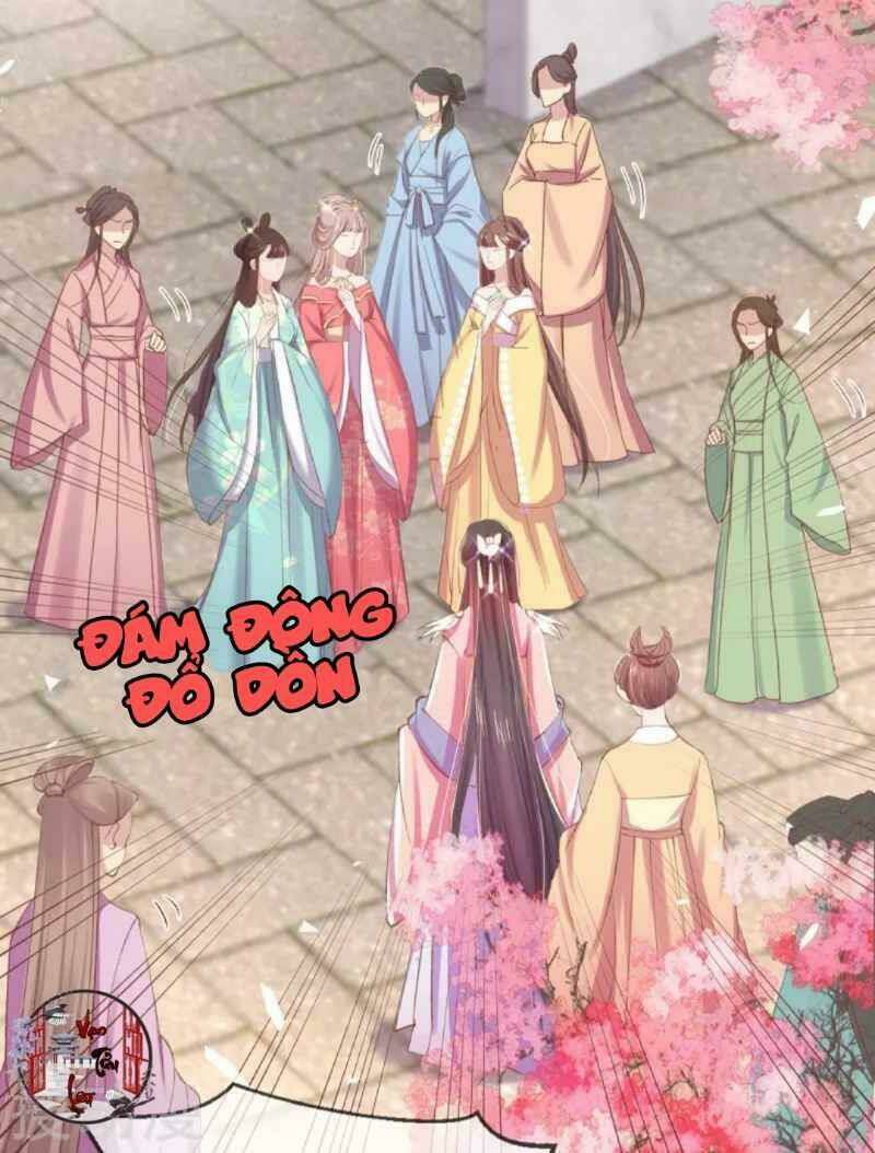 thị huyết y phi chapter 57 34