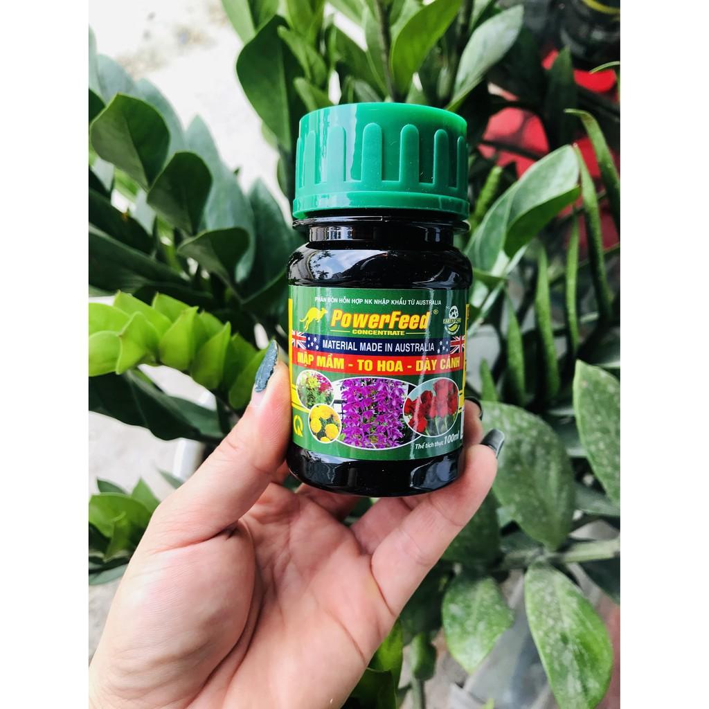 Phân bón hỗn hợp nhập khẩu POWER FEED nhập khẩu úc lọ 100ml.