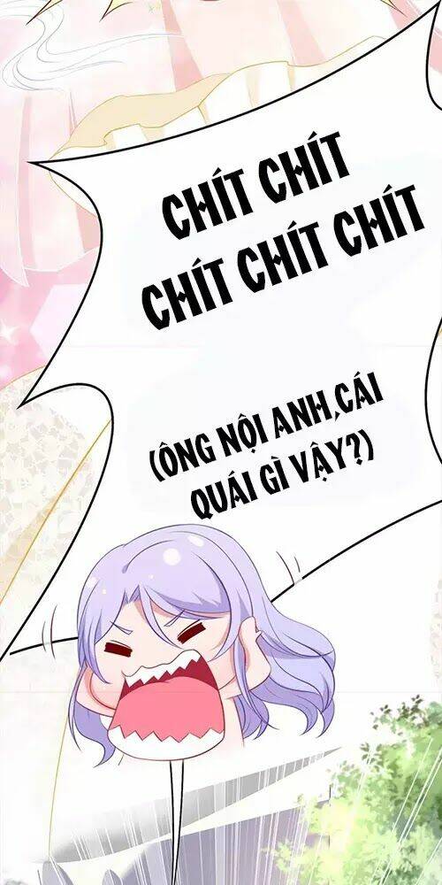 kế ước ngọt sủng:quốc dân lão công đích tiểu chiếm giữ thử chapter 2 12