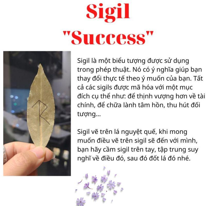 Bó xô thanh tẩy và bảo vệ