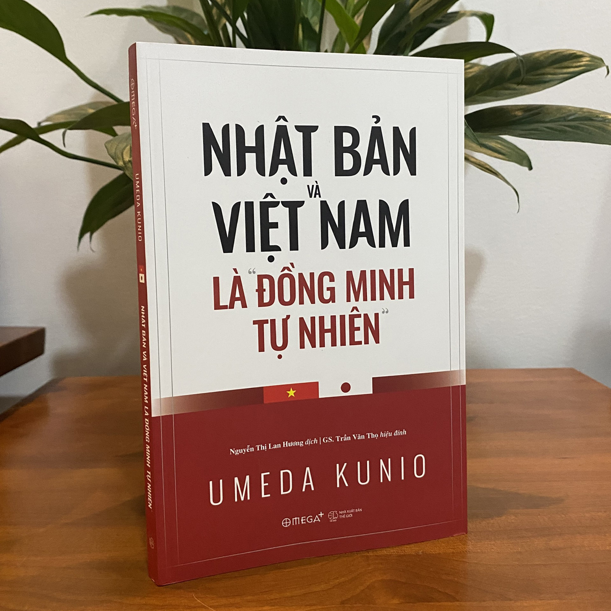 Sách - Việt Nam Và Nhật Bản Là “Đồng Minh Tự Nhiên”