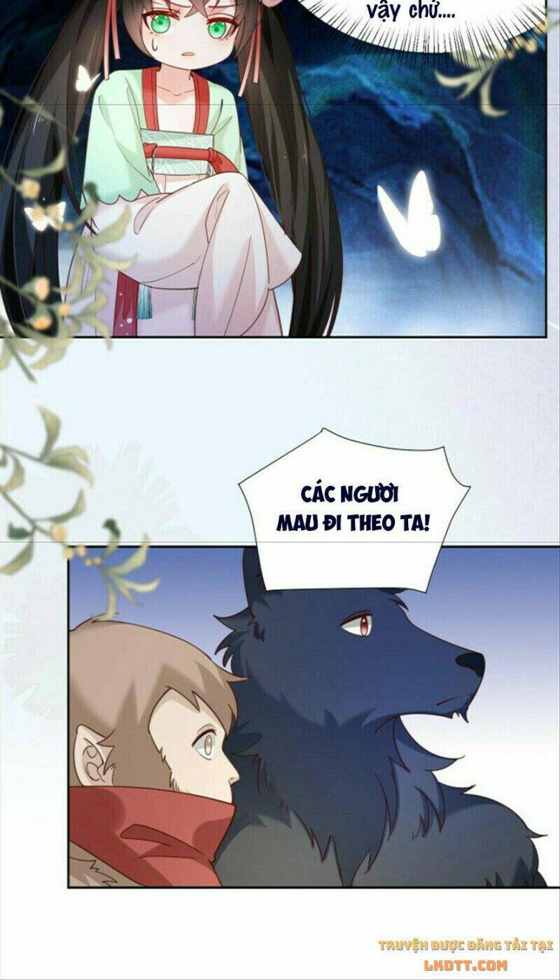 hắc hóa nam chính trực tuyến nuôi thỏ chapter 51 28