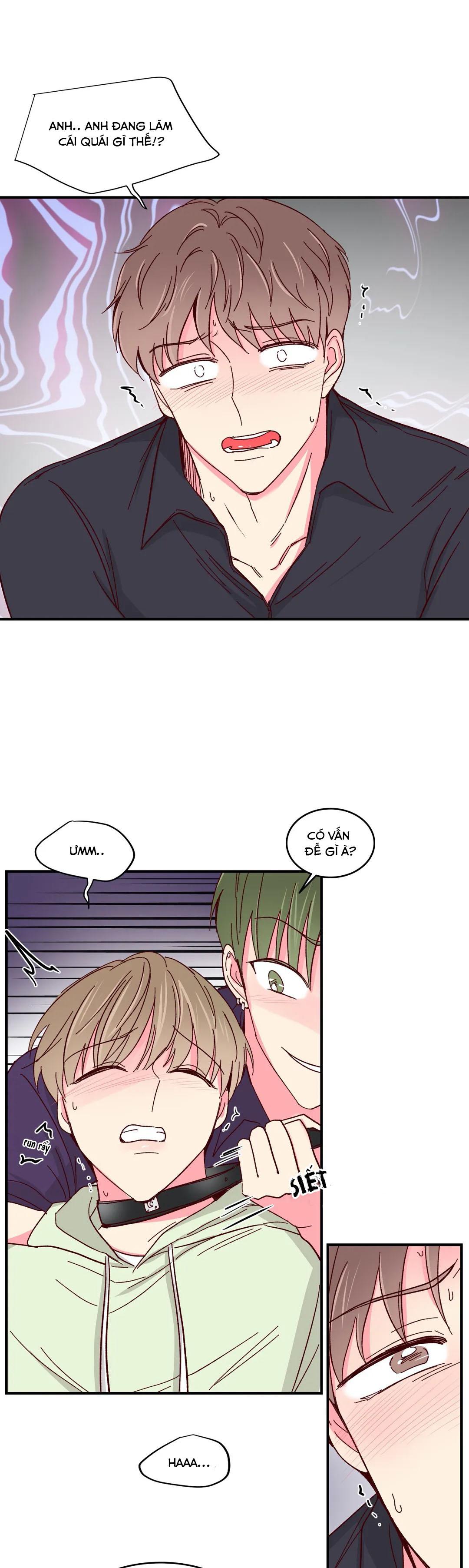 món tráng miệng của sếp tổng chapter 56 20