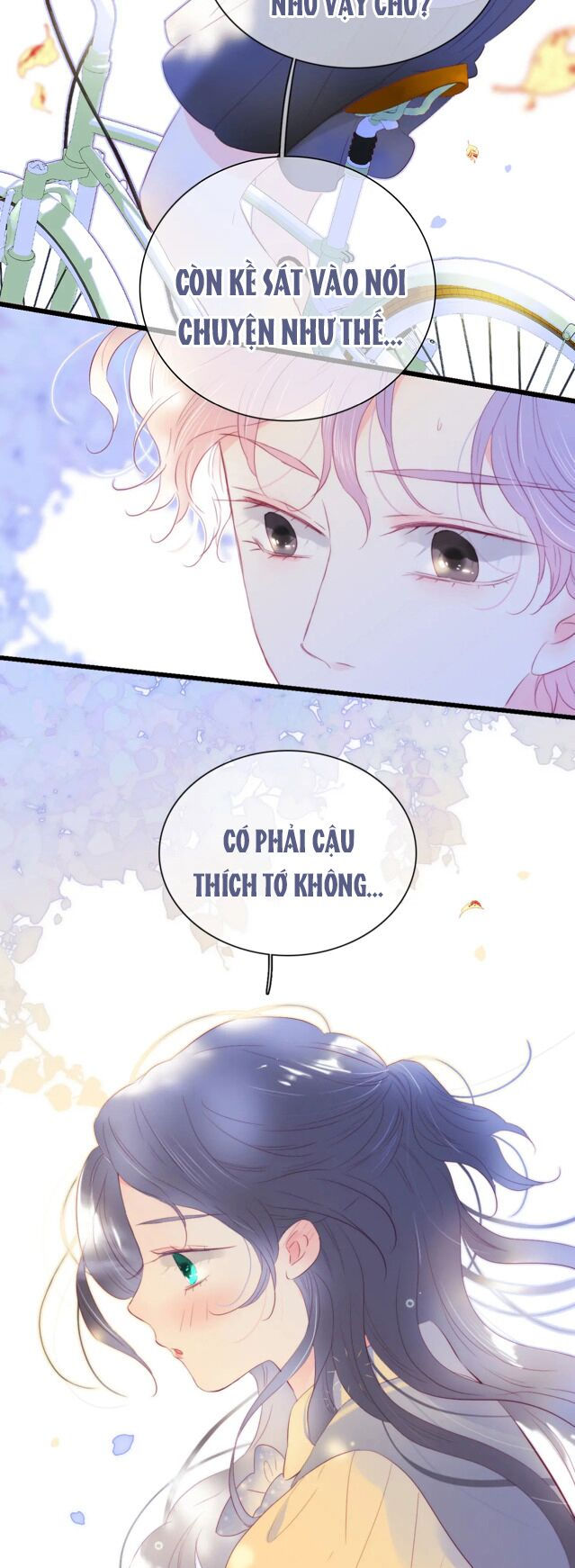 chạy trốn cùng con nhím chapter 31 14