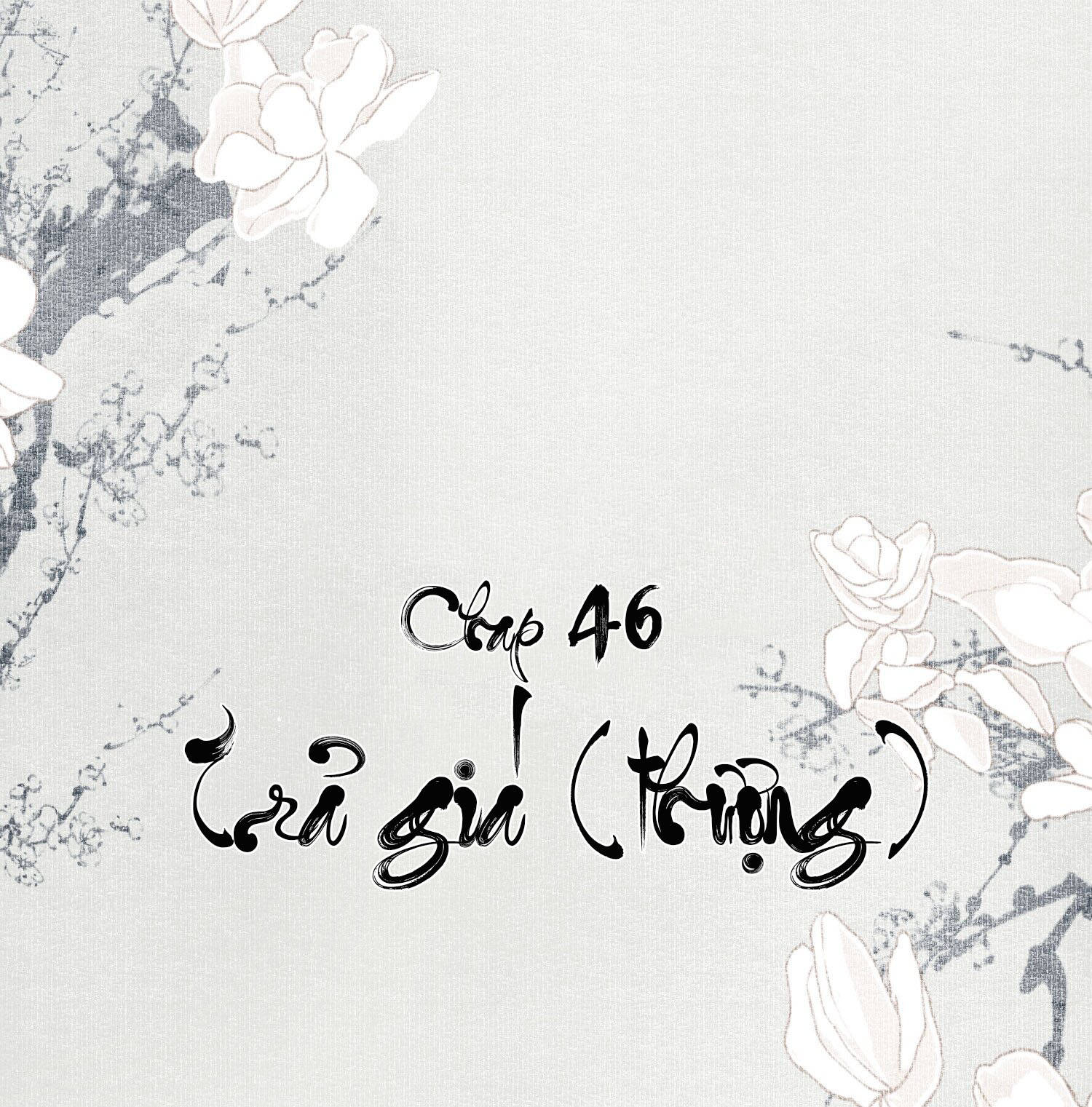 không cẩn thận cứu phải kẻ thù của giang hồ chapter 46 2