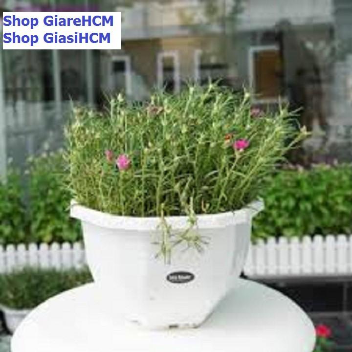 10 chậu trồng hoa |10 chậu trồng hoa có móc treo hình lục giác - Size 21 x14 cm