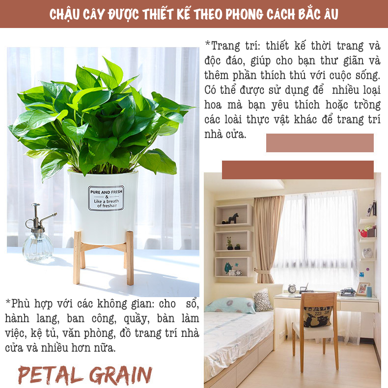 Chậu trồng cây tự tưới Oliz TA0 màu trắng - Thiết kế 2 lớp, có khả năng tự tưới nước cho cây