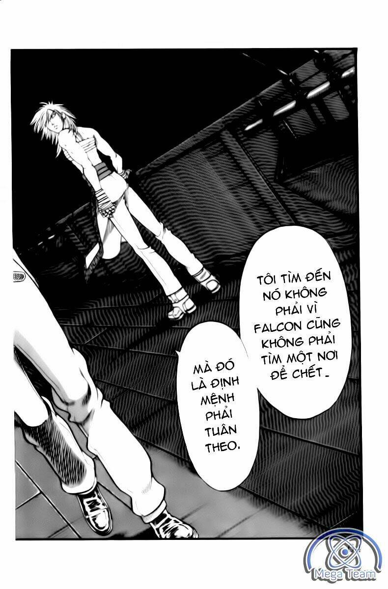 vua trên biển chapter 144 18