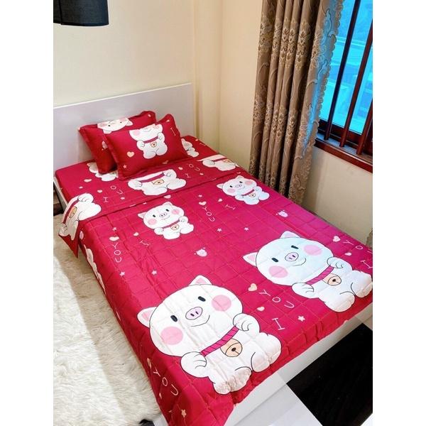 Chăn hè COTTON POLY trần bông 3 lớp