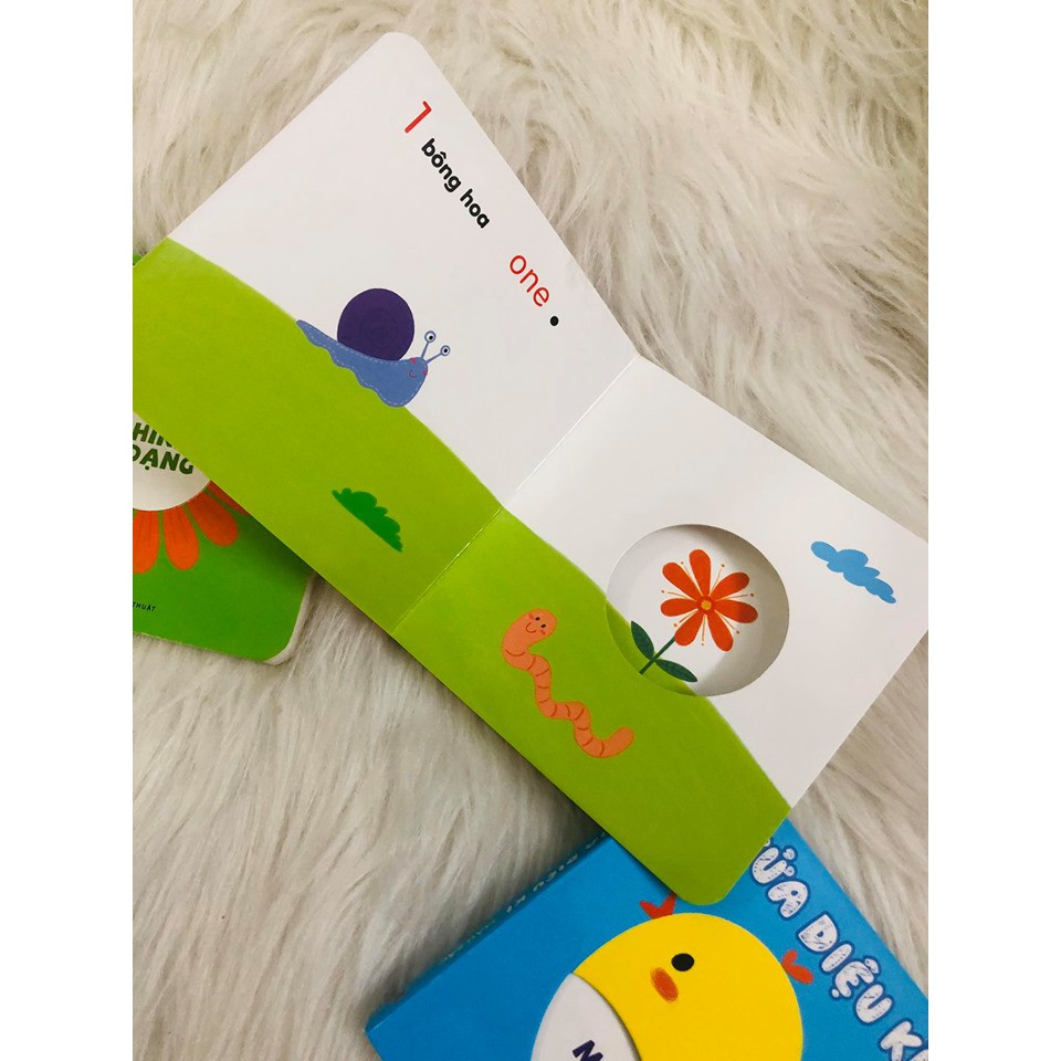 Sách: Ô Cửa Diệu Kì - Hình Dạng - TSTN