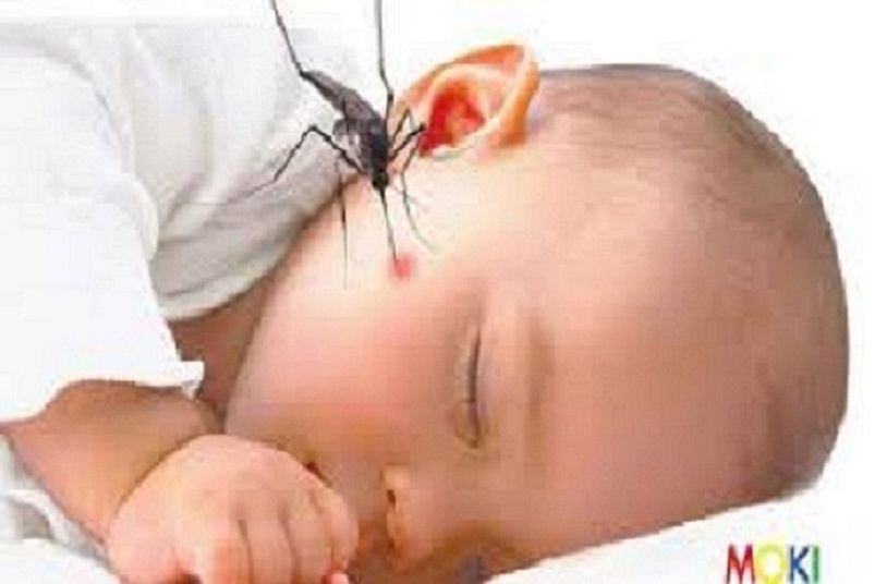 TINH DẦU SẢ CHANH NGUYÊN CHẤT MẸ KEN