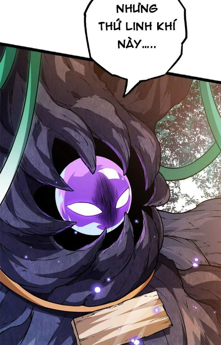 từ cây cổ thụ bắt đầu tiến hóa chapter 19 67