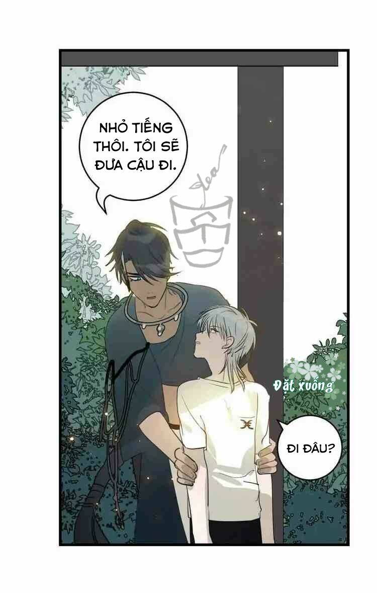 niên niên hữu ngư chapter 3 28