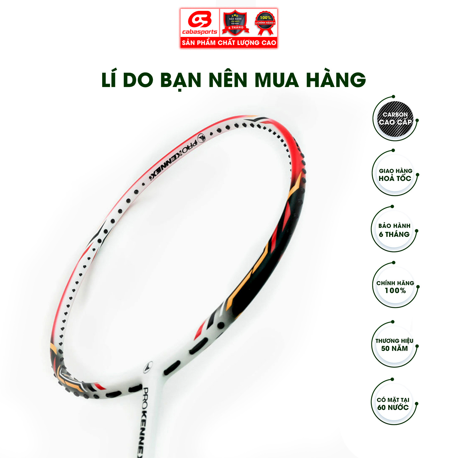 Vợt cầu lông giá rẻ chính hãng carbon công thủ toàn diện Prokennex POWER PRO 704 - Đan 10.5kg