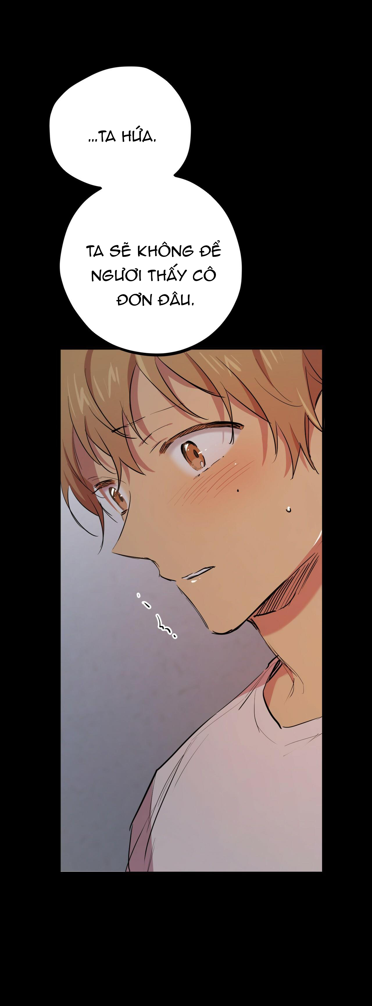 những chú thỏ của hapypy chapter 19 58