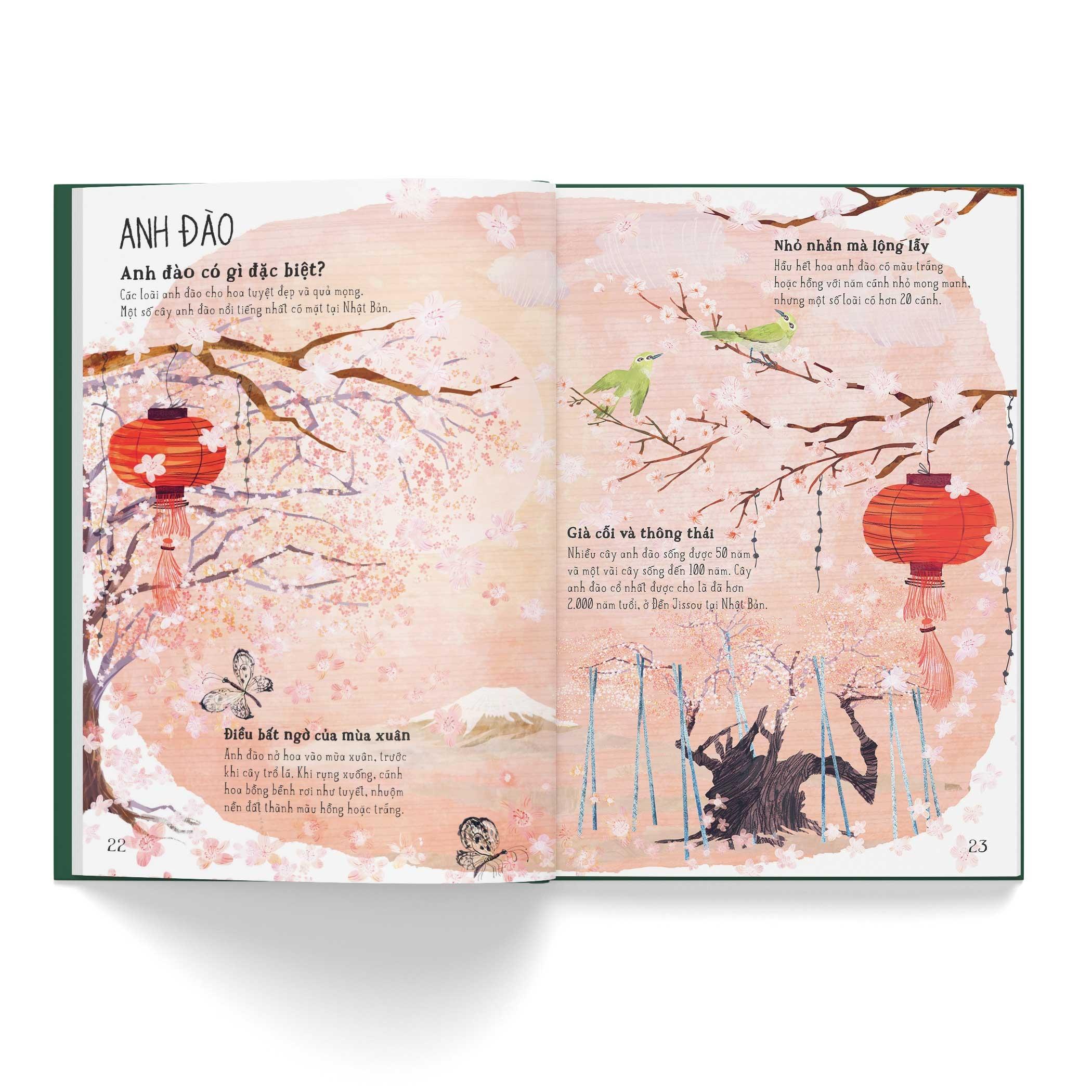 A Lê Hấp! Thế Giới Hoa