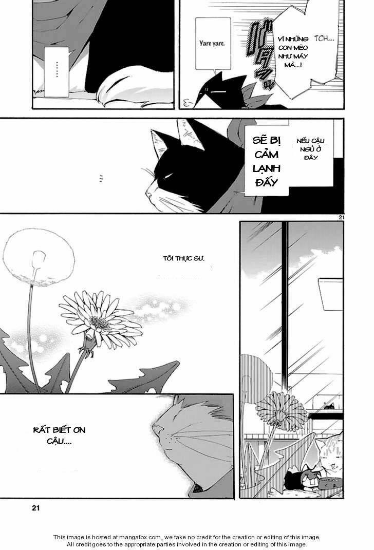 nyankoi! chapter 20 22
